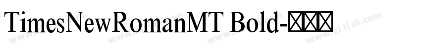 TimesNewRomanMT Bold字体转换